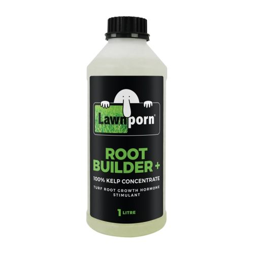 Root Builder